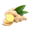 Adrak (Ginger)
