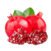 Anar