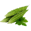 Karela
