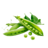 Matar (Peas)