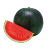 Tarbuj